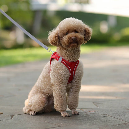 Puppy Outdoor Harness