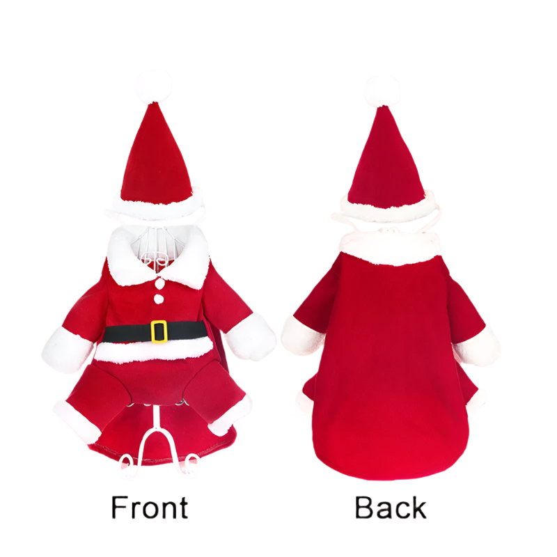 Santa's Little Helper Costume