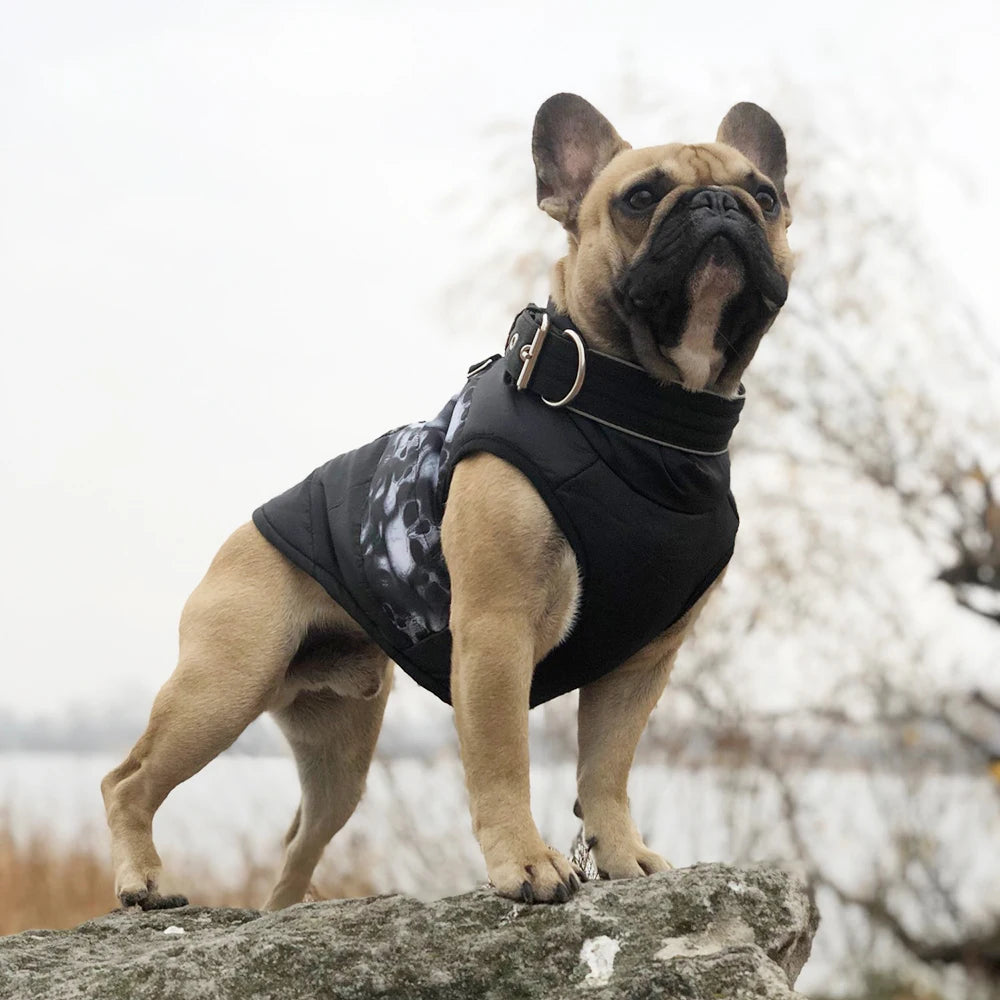 Windproof Dog Vest