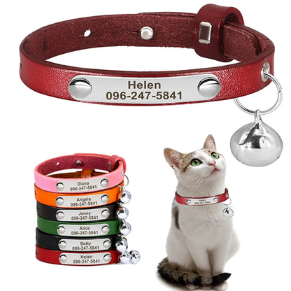 Custom Cat Collar