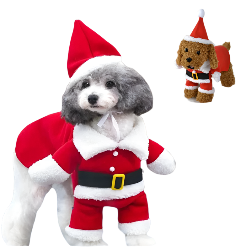 Santa's Little Helper Costume