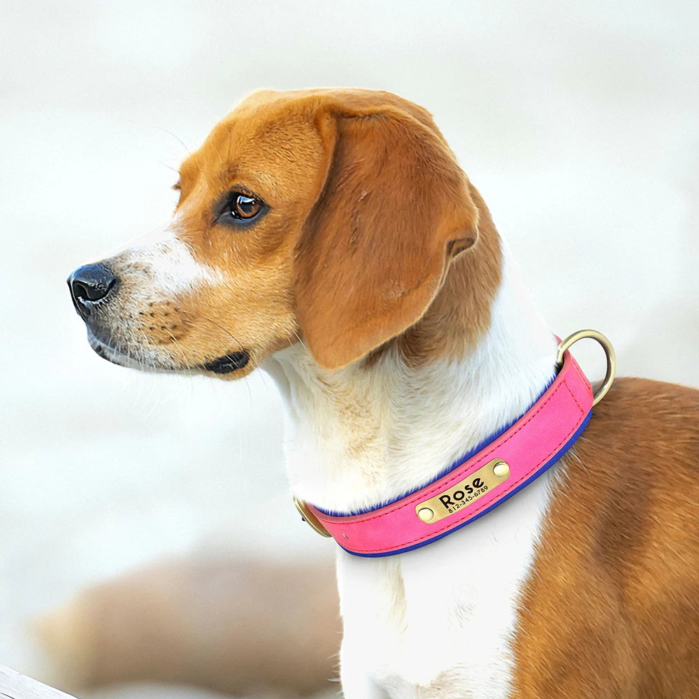 Custom Leather Collar