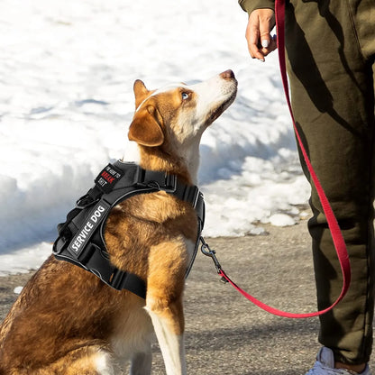 Reflective Harness