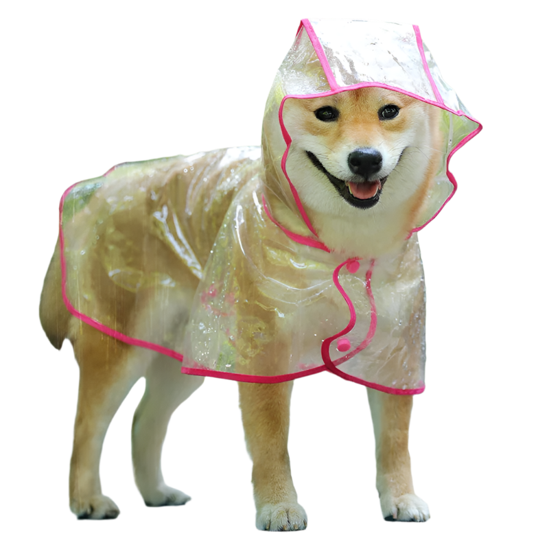 Raincoat