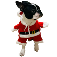 Load image into Gallery viewer, Santa's Little Helper Costume
