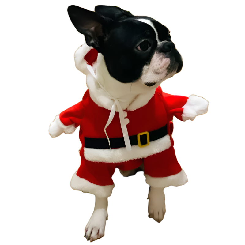 Santa's Little Helper Costume