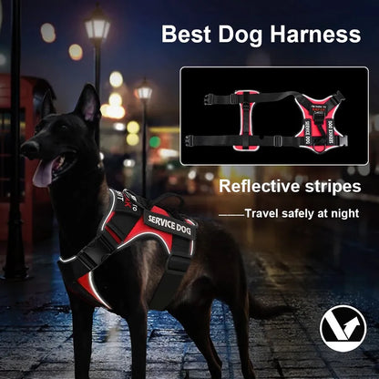 Reflective Harness