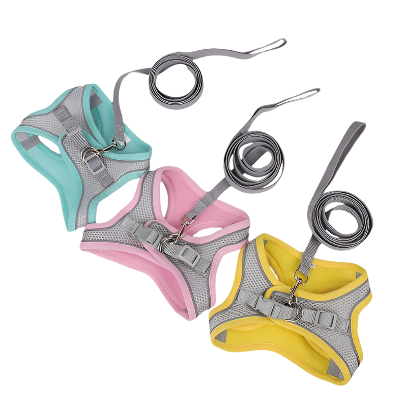 Puppy Outdoor Harness
