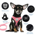 Load image into Gallery viewer, Kitty Harness
