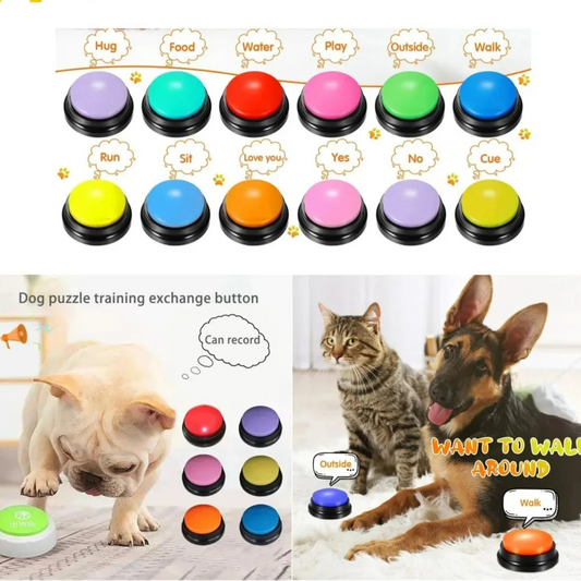 Dog Interactive Voice Recording Buzzer