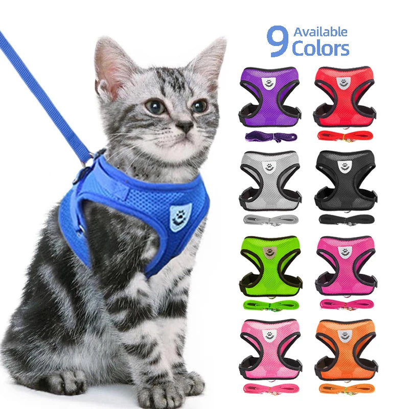Kitty Harness
