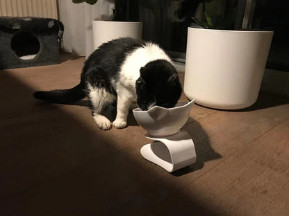 Cat Bowl