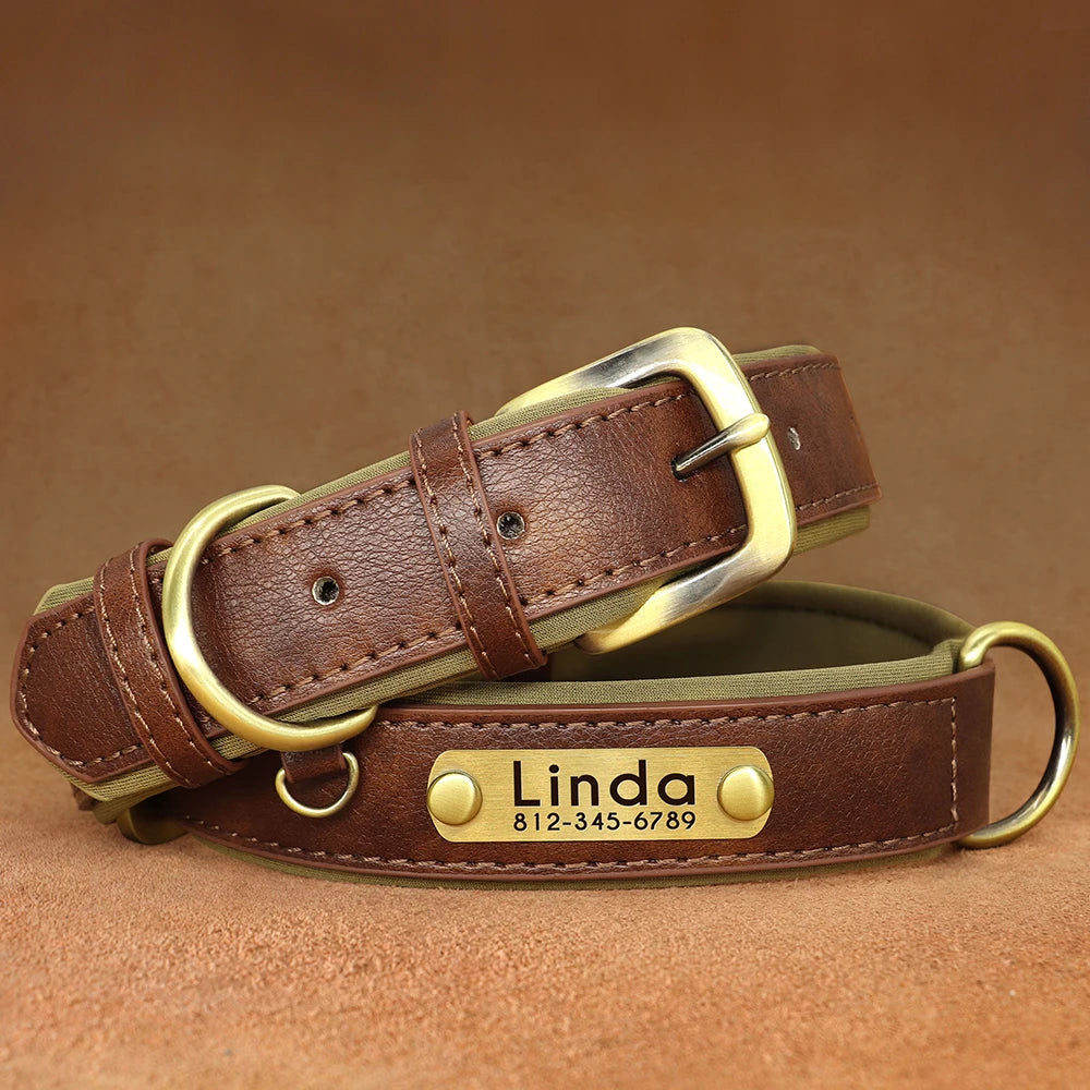 Custom Leather Collar