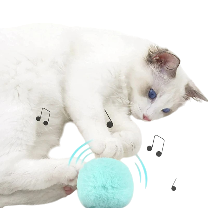 Smart Pet Ball