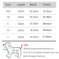 Load image into Gallery viewer, Puppy Outdoor Harness
