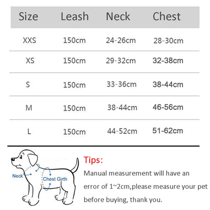 Puppy Outdoor Harness