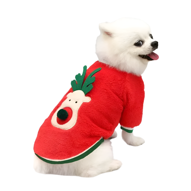 Yuletide Pup Hoodie