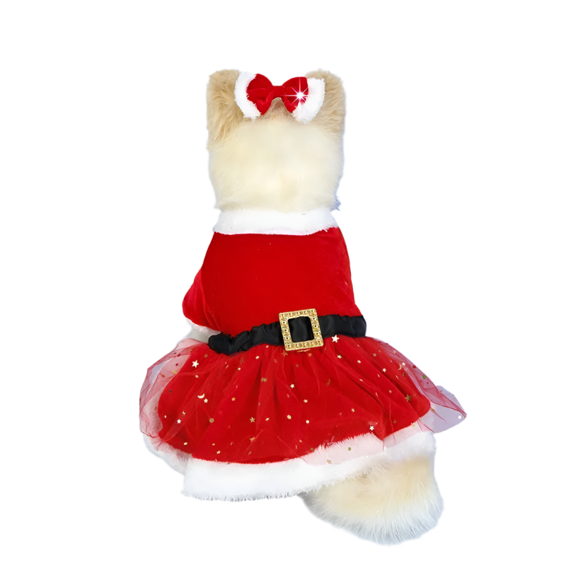 Holiday Fluff Dress