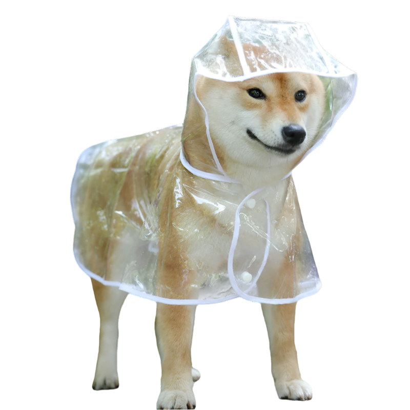 Raincoat