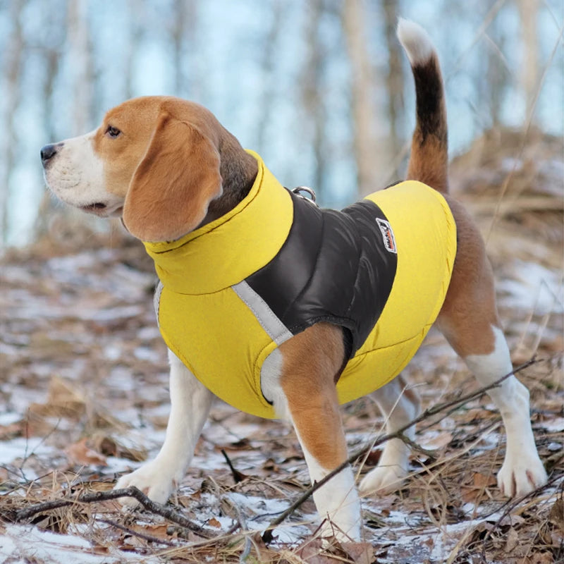 Dog Waterproof Vest