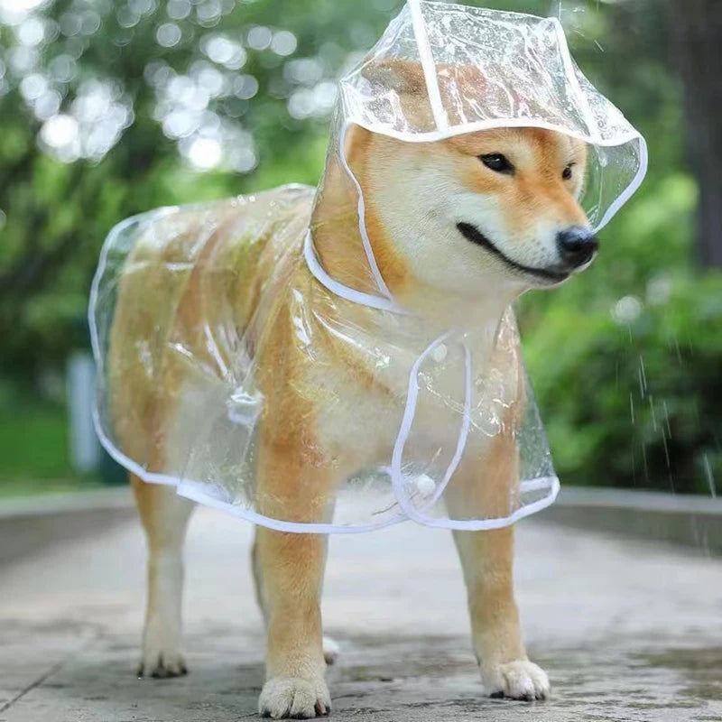 Raincoat