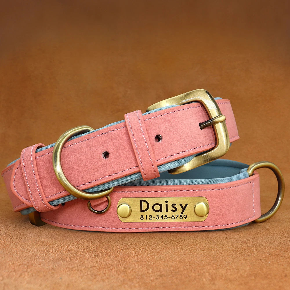 Custom Leather Collar