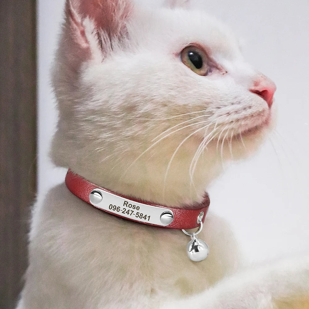 Custom Cat Collar