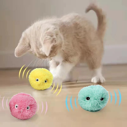 Smart Pet Ball