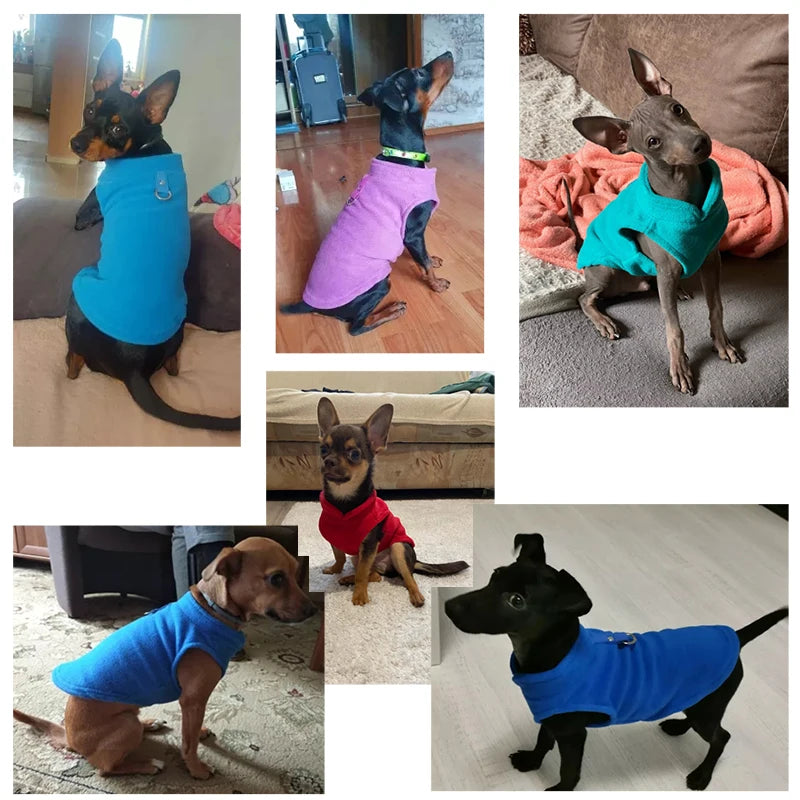 Puppy Jacket