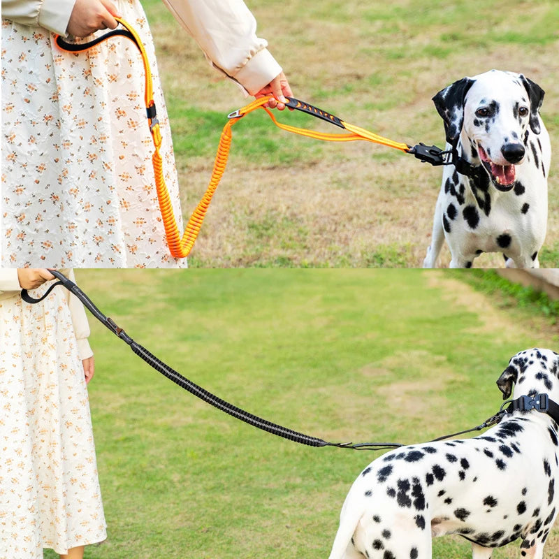 Bungee Leash