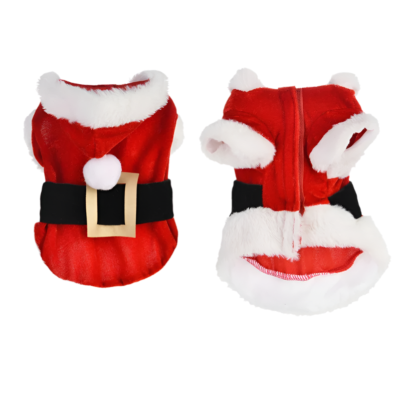 Santa Paws Hoodie