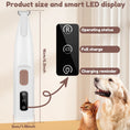 Load image into Gallery viewer, Paw Trimmer
