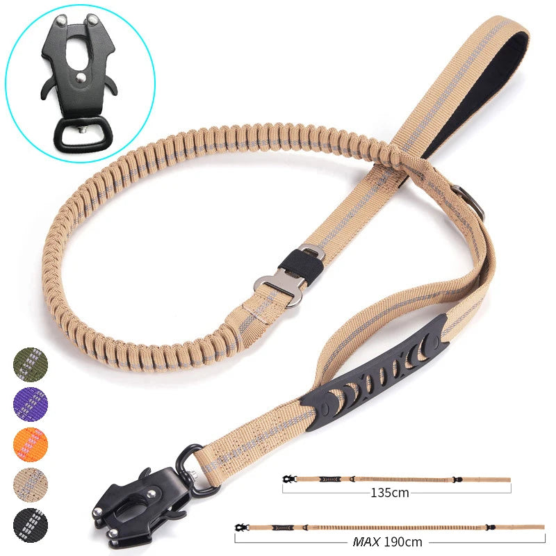 Bungee Leash