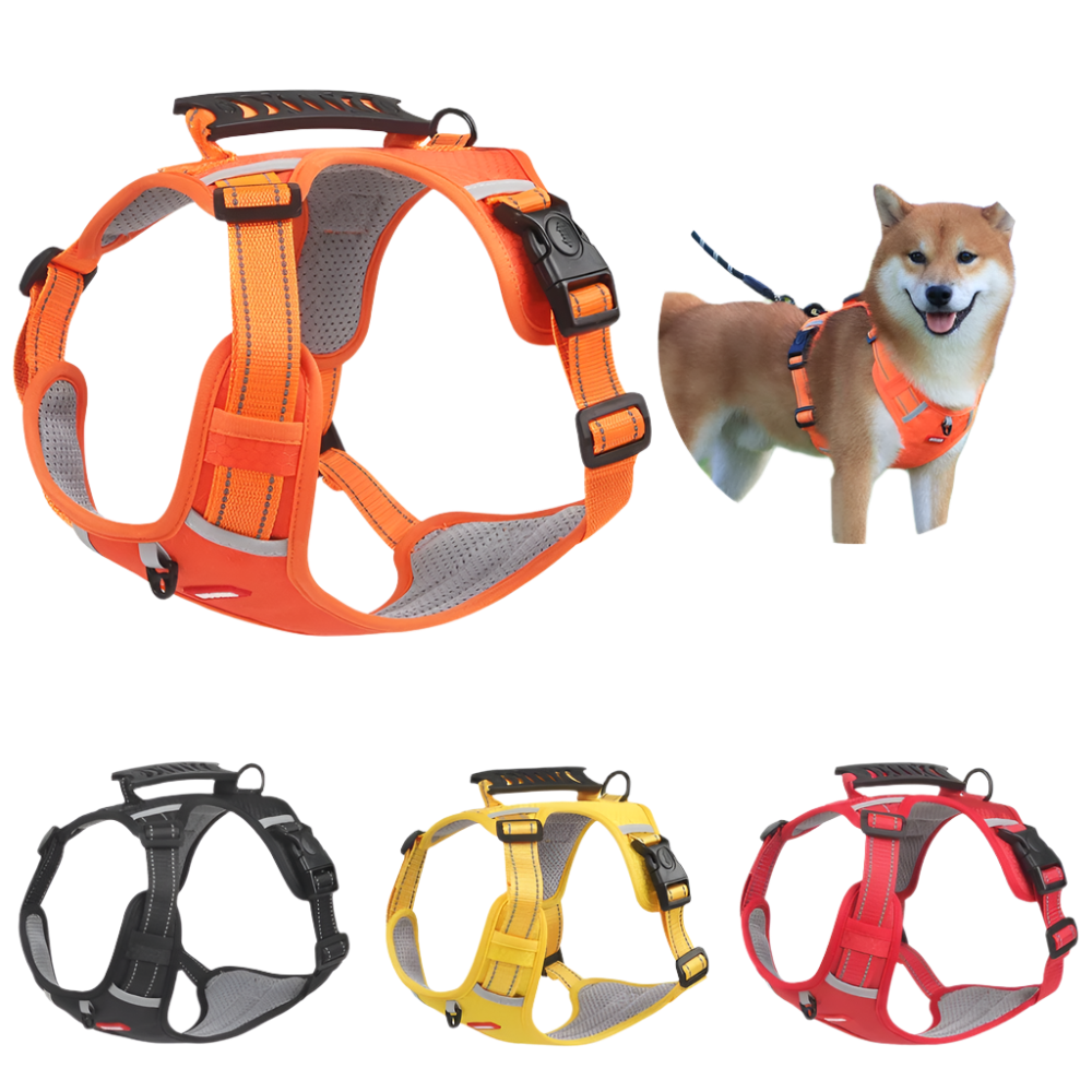 No-Pull Dog Harness