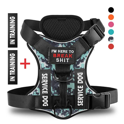 Reflective Harness