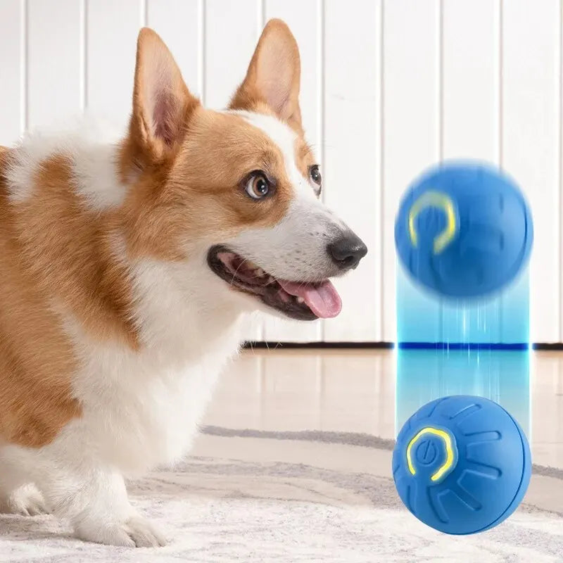 Smart Moving Ball