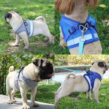 Safety Reflective Harness