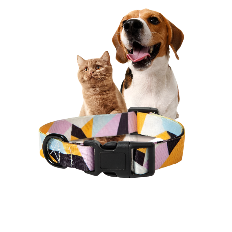 BohoPaws Set