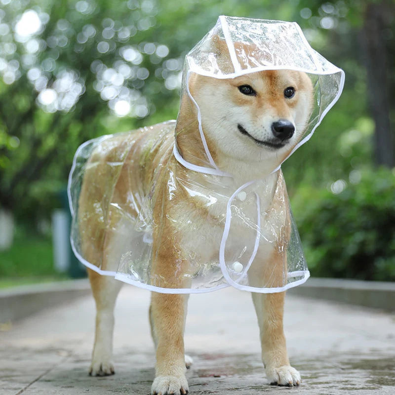 Raincoat