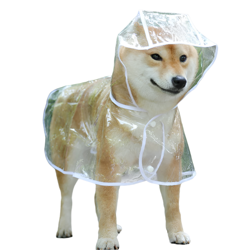 Raincoat