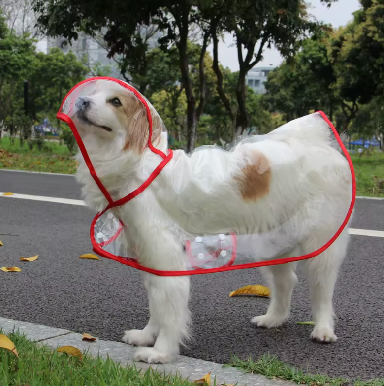 Raincoat