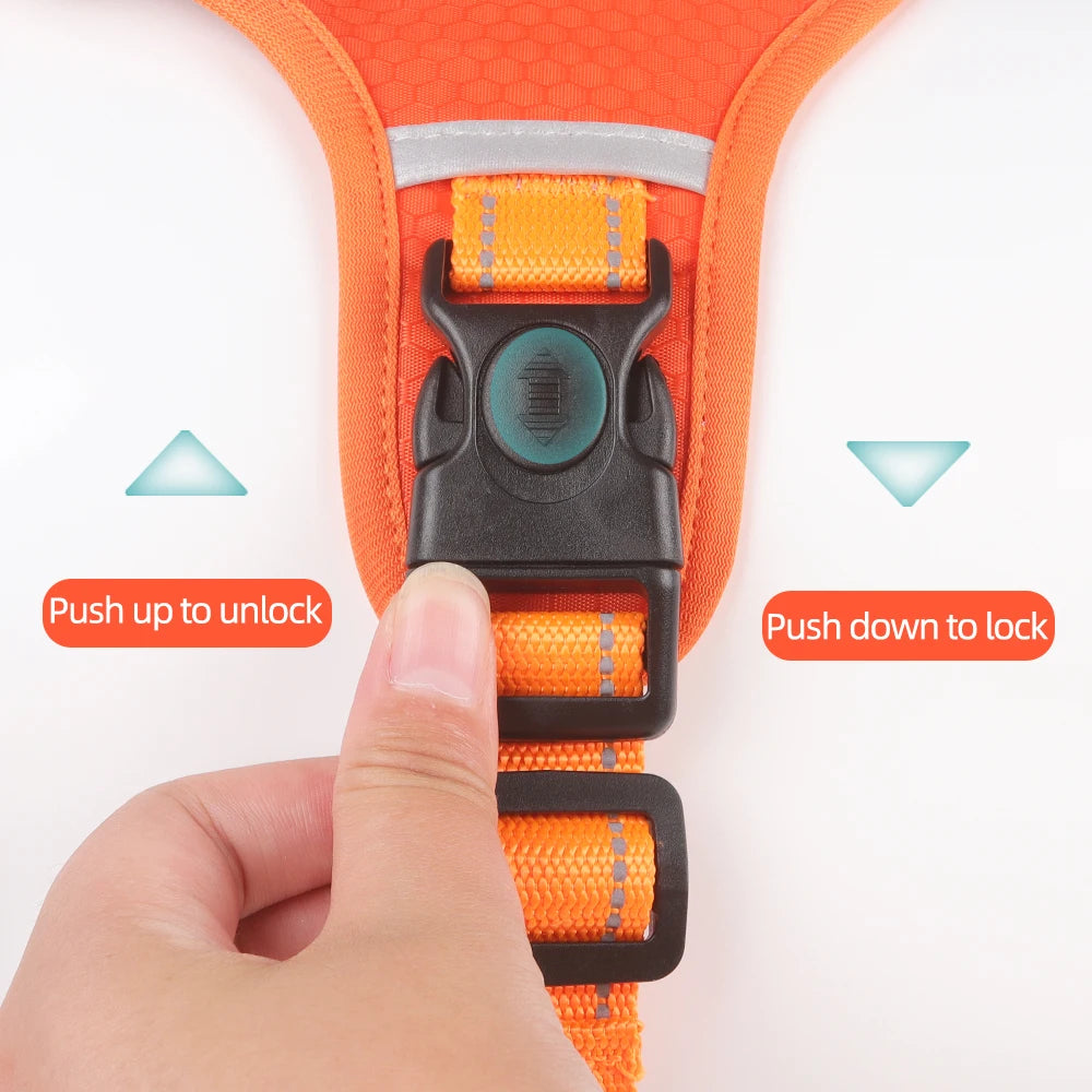 No-Pull Dog Harness