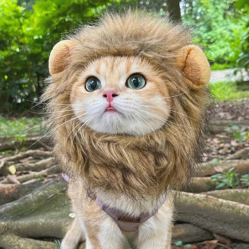 Pet Lion Wig