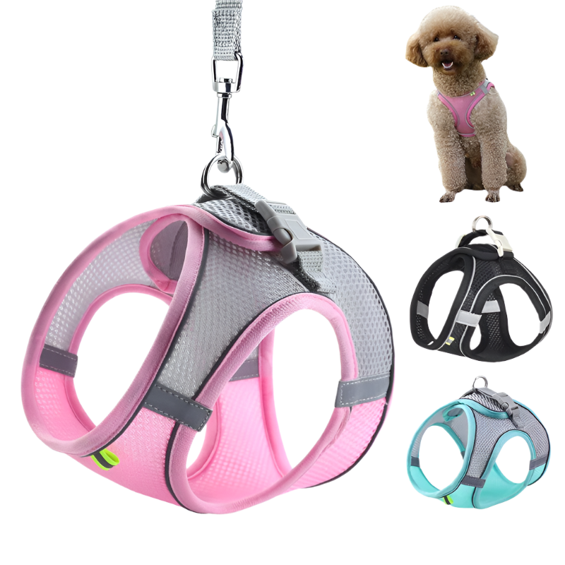 Puppy Outdoor Harness