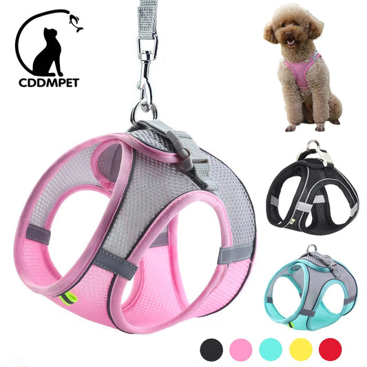 Puppy Outdoor Harness