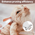 Load image into Gallery viewer, Paw Trimmer
