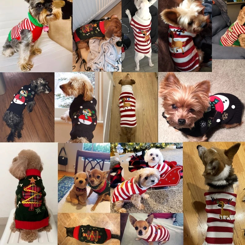 Xmas Knit Dog Sweater