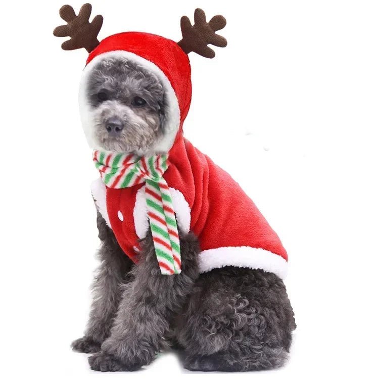 Yuletide Pup Hoodie